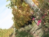 mg_8588-copy